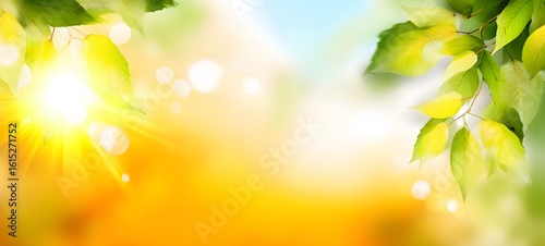 High definition fresh green background