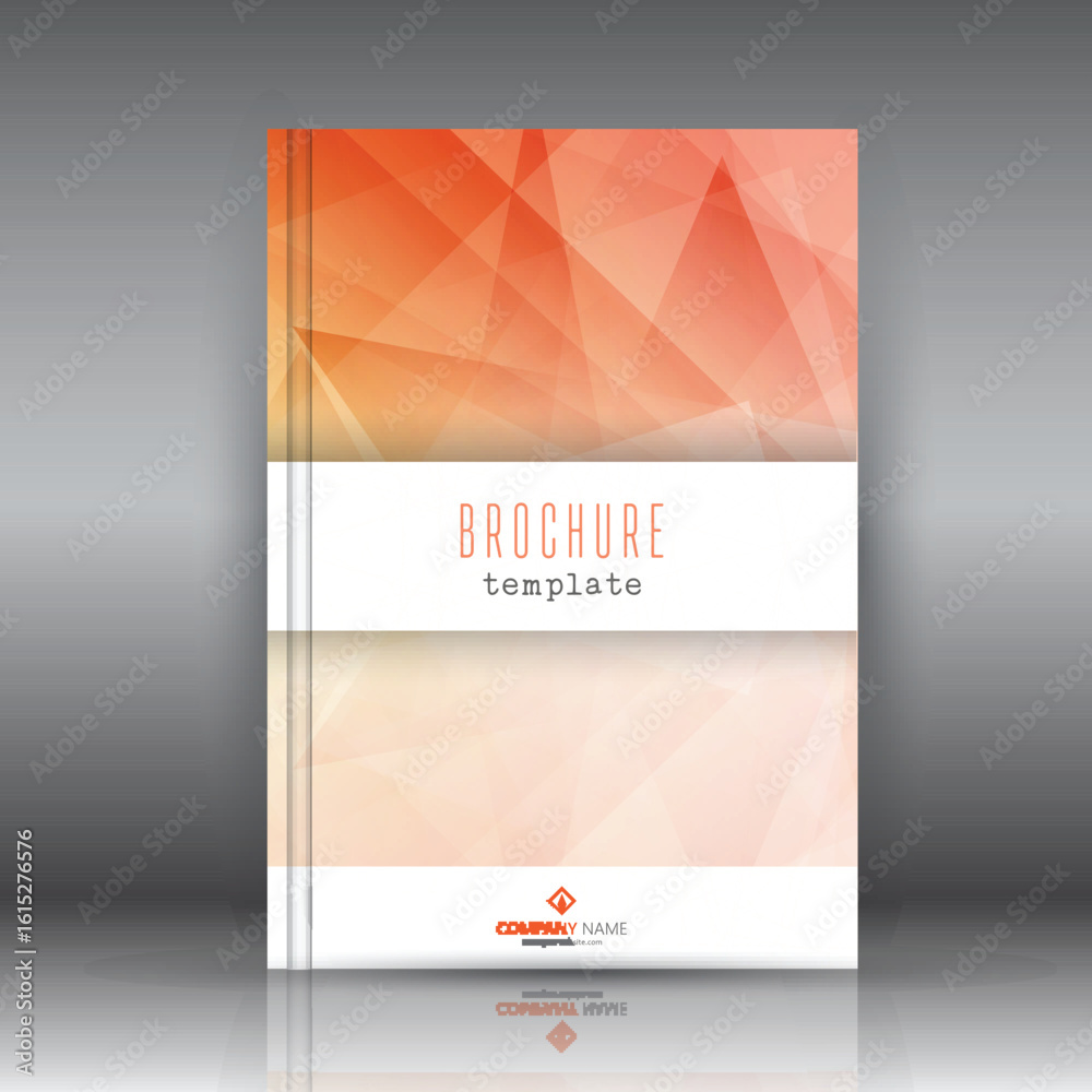 Fototapeta premium brochure design 1207