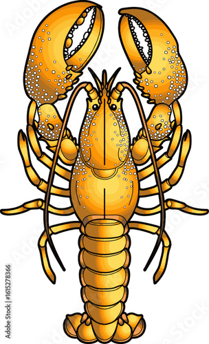 lobster drawing vector illustration