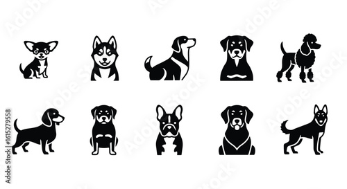 Vector silhouette illustration various dog breeds depicted as black silhouettes on a white background