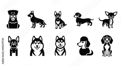 Vector silhouette illustration a variety of cat breeds and styles shown as black silhouettes