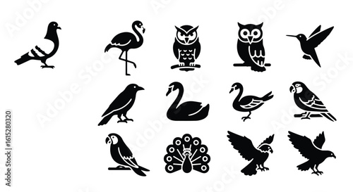 Vector silhouette illustration a black silhouette of a graceful swan on a white background