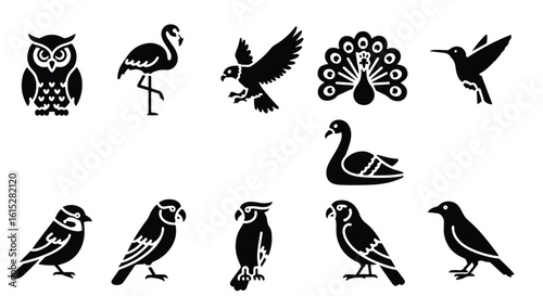 Vector silhouette illustration collection of bird of prey silhouettes including falcon and eagle isolated on white background