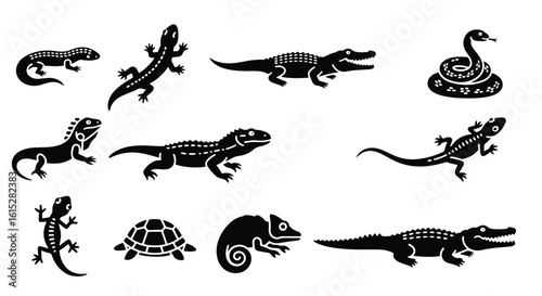 Vector silhouette illustration detailed silhouette of a lizard or iguana with textured skin isolated on a white background