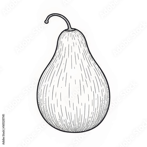 Hand-drawn pear illustration with detailed sketch lines  