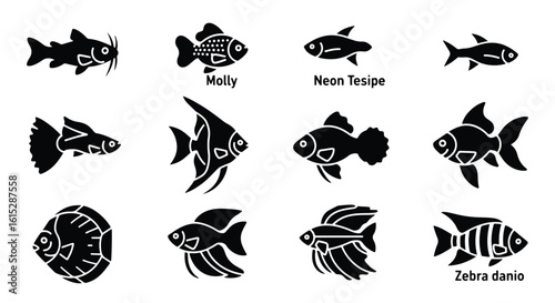 Vector silhouette illustration two stylized fish silhouettes, a betta and a neolamprologus, isolated on a white background