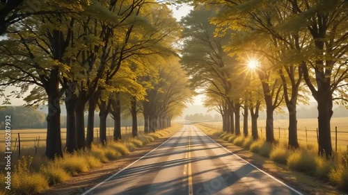 Golden Hour on a Winding Country Road with Early Autumn Foliage