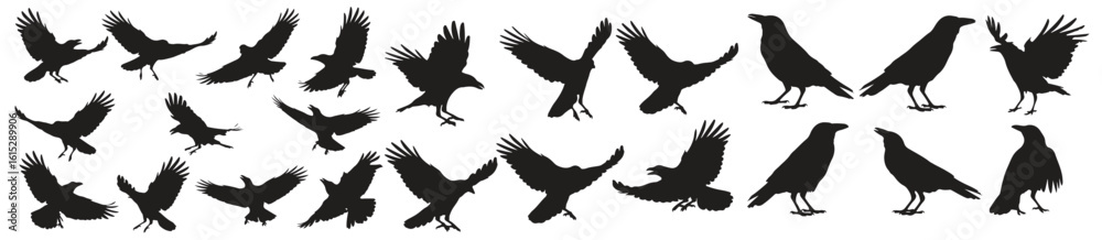Fototapeta premium Massive Halloween crow vector mega collection featuring spooky black raven silhouettes, flying birds, perched crows, haunted themes, perfect for horror art, eerie scenes, and gothic decorations