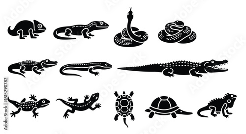 Vector silhouette illustration a collection of black silhouette icons representing various reptiles and animals
