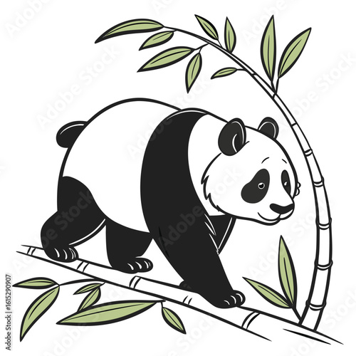 Cute giant panda in the wild, an Asian mammal happily eating green bamboo leaves, perfect for a nature illustration or vector design