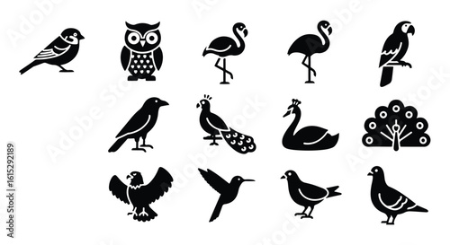 Vector silhouette illustration a whimsical pattern featuring black silhouettes of a flamingo, peacock, and hummingbird on white