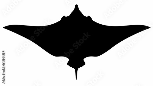 Silhouette of a stingray with wide pectoral fins and a long tail, centered on a white background view from above