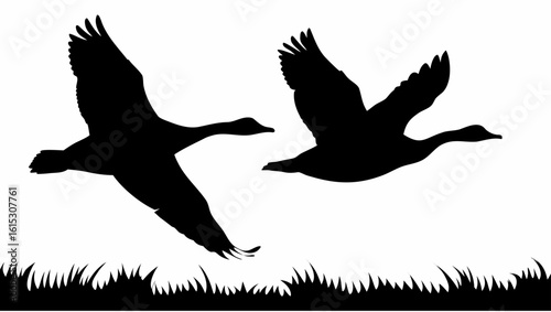 Silhouette illustration of two geese flying above grass in black and white scenery with open wings