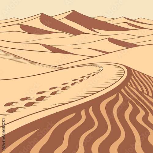 sand dunes in the desert