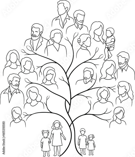 Family tree illustration genealogy lineage ancestors generations family history chart