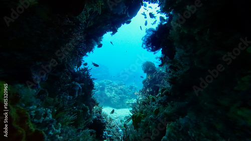 Underwater view of a cave. Underwater cave. View from the opening of the underwater cave with clear transparent water and sun rays underwater. Rocky structures underwater.