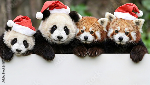 Wallpaper Mural Cute giant panda and red panda wearing Santa hats holding a billboard Torontodigital.ca