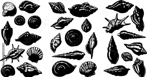 Hand drawn vector illustrations - seamless pattern of seashells. Marine background. Perfect for invitations, greeting cards, posters, prints, banners, flyers