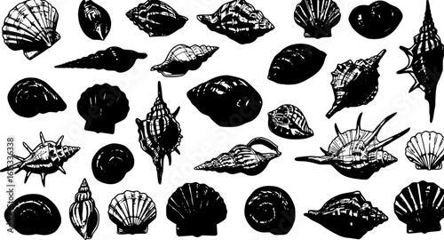 Hand drawn vector illustrations - seamless pattern of seashells. Marine background. Perfect for invitations, greeting cards, posters, prints, banners, flyers