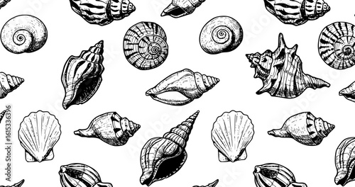 Hand drawn vector illustrations - seamless pattern of seashells. Marine background. Perfect for invitations, greeting cards, posters, prints, banners, flyers