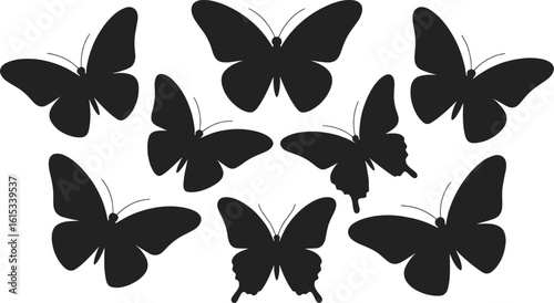 Black butterfly silhouettes on white background insect