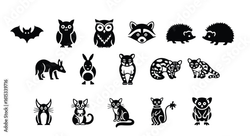 Vector silhouette illustration set of a raccoon, animal, wildlife, mammal, cute, face, mask, isolated on white background