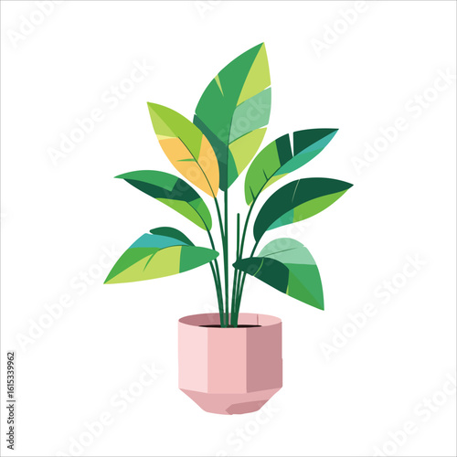 plant tree vector
