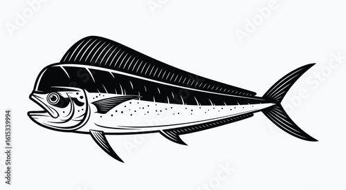 Black and white illustration of a mahi fish marine life