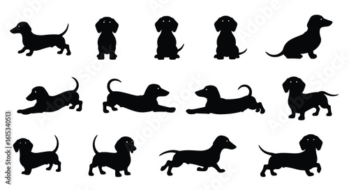 Vector silhouette illustration of black dog, dachshund silhouettes isolated on a white background