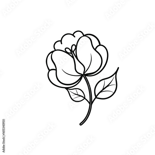 Sweet pea flower outline icon on white background