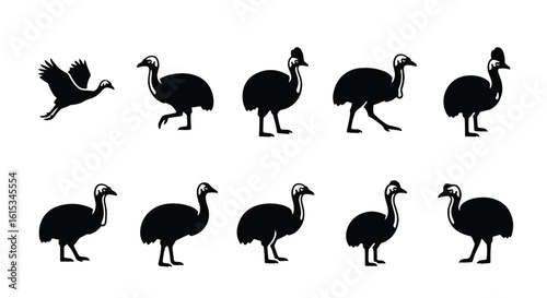 Vector silhouette illustration black silhouette of an ostrich, isolated on white background