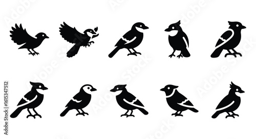 Vector silhouette illustration a black silhouette of a magpie or jay bird perched, isolated on a white background