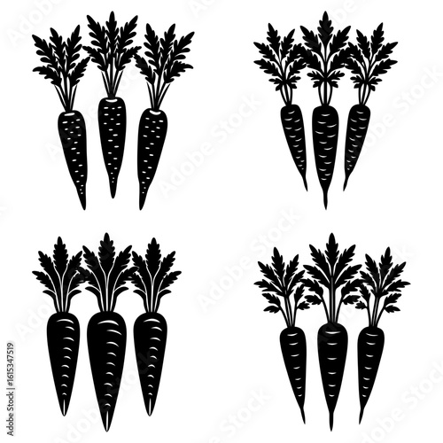 Illustration of four clusters of three carrots each with detailed leaves in black and white color scheme