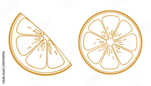 Elegant Orange Slice and Half Illustration in Brown Line Art on a White Background.