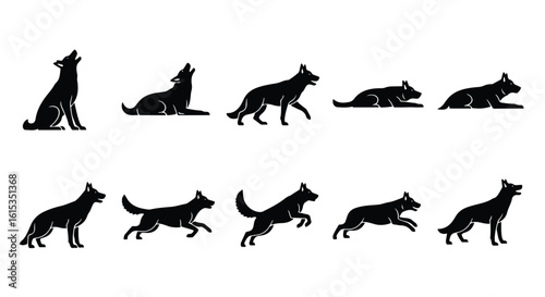 Vector silhouette illustration a silhouette of a wolf or dog walking, isolated on white background
