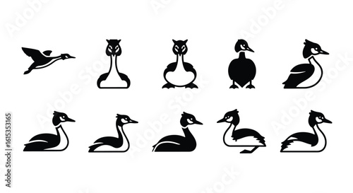 Vector silhouette illustration silhouettes of two birds, possibly ducks or geese, isolated on white background