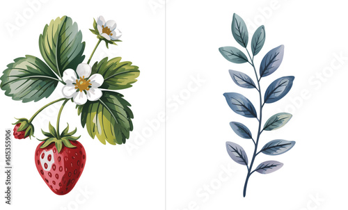 Strawberry Fruit with Flowers and Leaves Next to Watercolor Branch on White Background