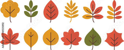 Collection of colorful autumn leaves in a flat design style