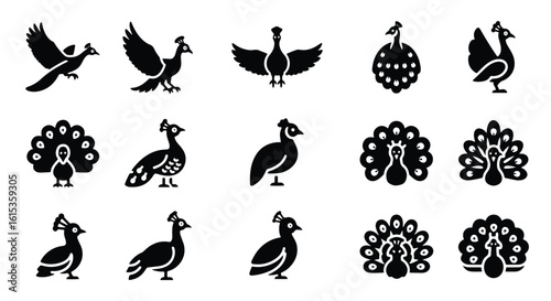 Vector silhouette illustration of a guinea fowl, isolated on white background