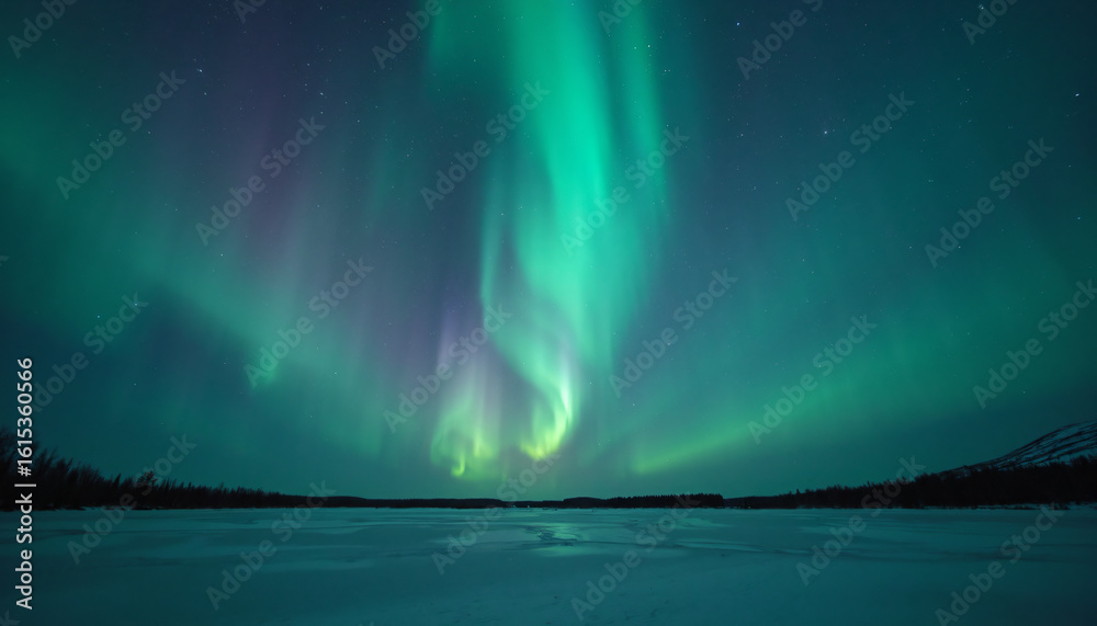 Naklejka premium Aurora Borealis over Snowy Landscape