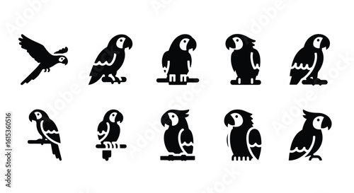 Vector silhouette illustration stylized parrots, one perched on a branch, isolated on white background