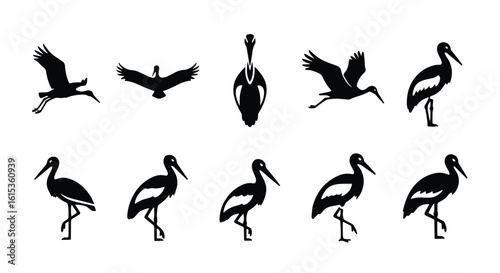 Vector silhouette illustration a black and white silhouette of a bird, possibly a stork or crane, isolated on a white background