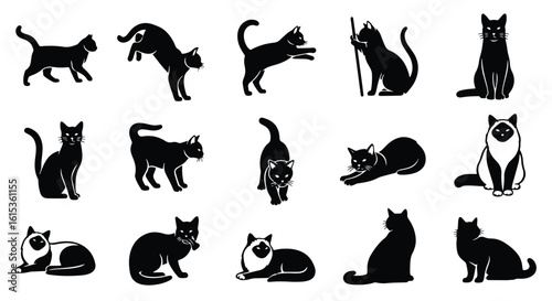 Vector silhouette illustration a black cat walking forward with its tail up, isolated on a white background