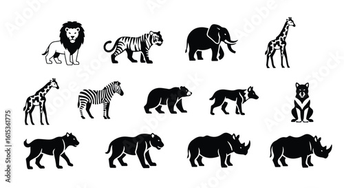 Vector silhouette illustration a black bear walking, isolated on white background