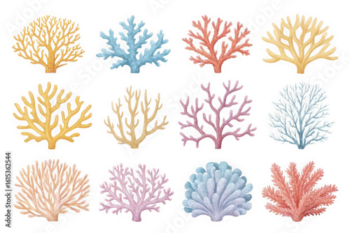 Collection of colorful branched coral specimens on a black background