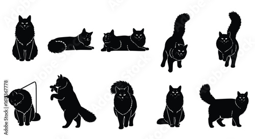 Vector silhouette illustration silhouette of two black cats, one lying down and one sitting, isolated on white background