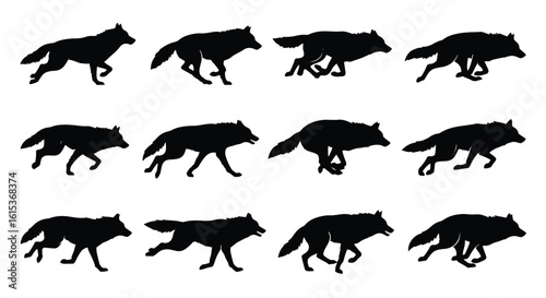Vector silhouette illustration a silhouette of a fox or wolf running, isolated on white background