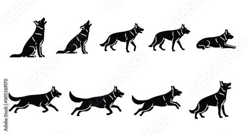 Vector silhouette illustration a german shepherd dog illustration, walking and sitting, isolated on white background