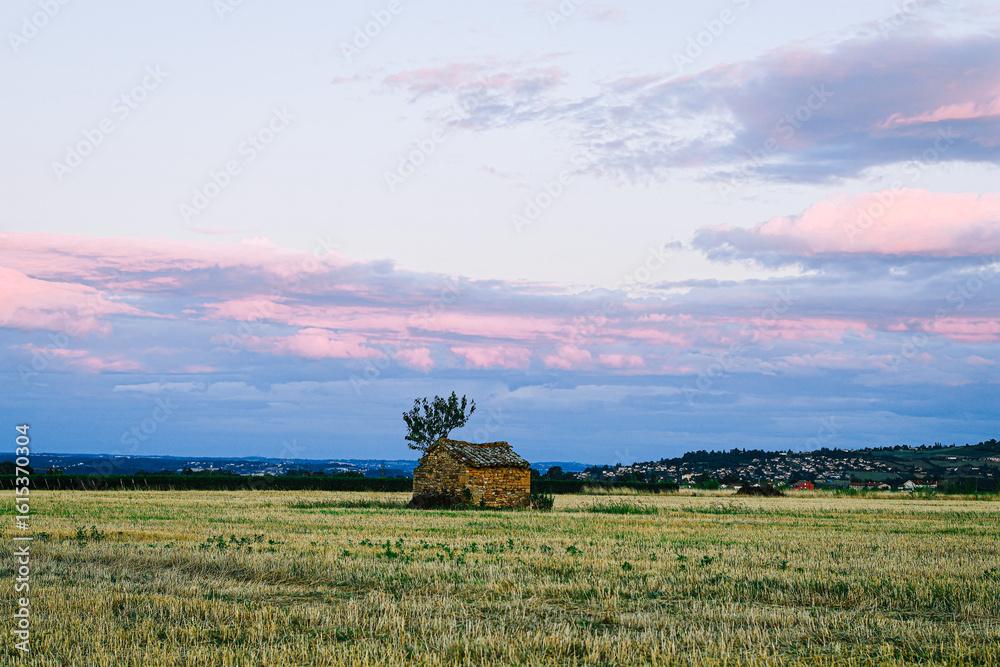 Fototapeta premium Green meadow during the sunset with beautiful sky