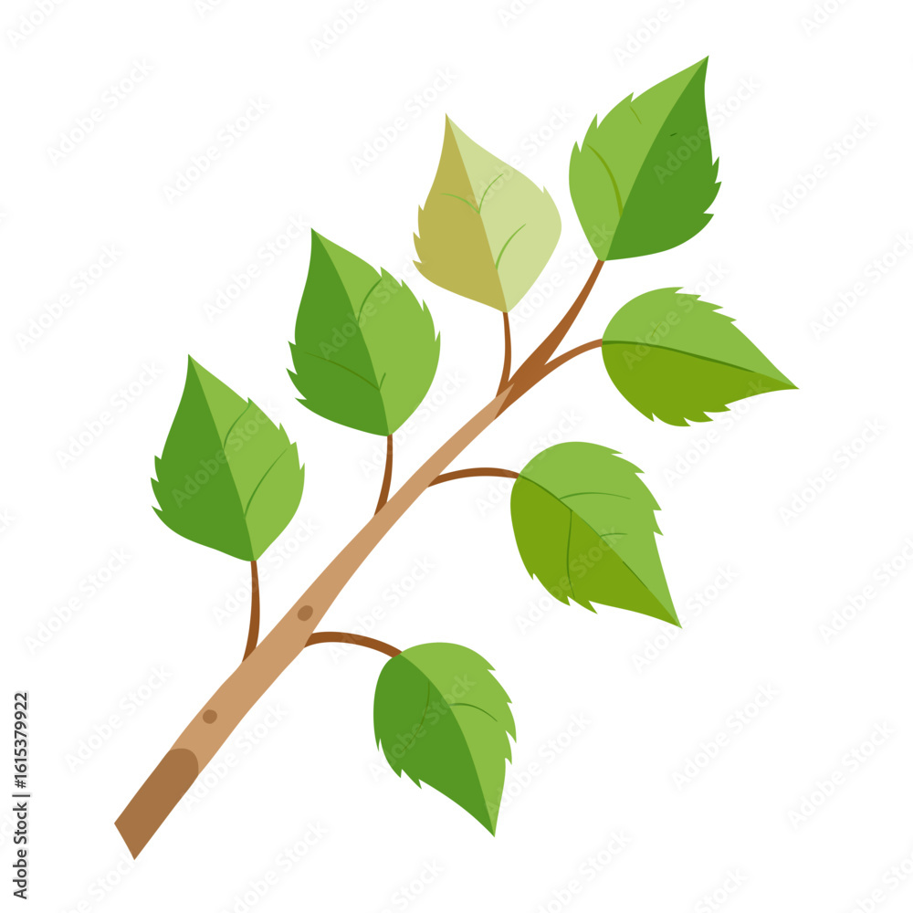 Naklejka premium green leaves isolated